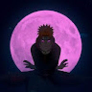 Meet your Posher, Roni